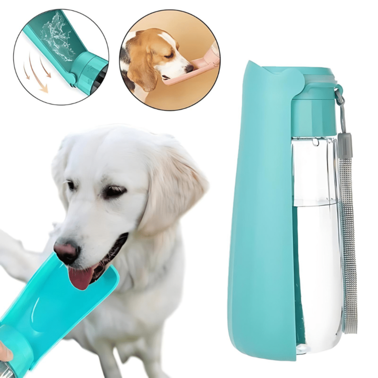 Gourde chien promenade Petite Soif 2 Gourde chien promenade Petite Soif 2