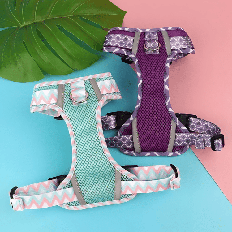 Harnais anti traction en Y Pop Walk 1 Harnais anti traction en Y Pop Walk 1