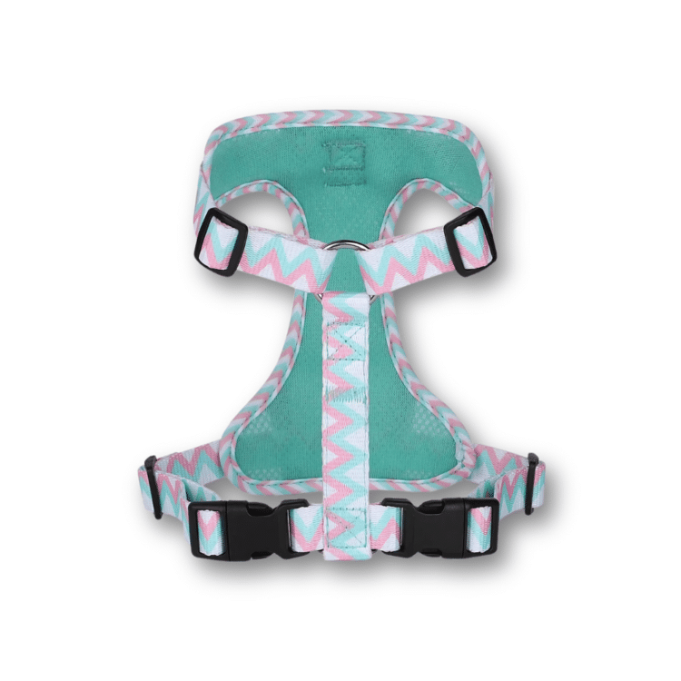 Harnais anti traction en Y Pop Walk 6 Harnais anti traction en Y Pop Walk 6